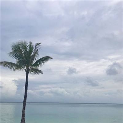屠神归来手机版下载